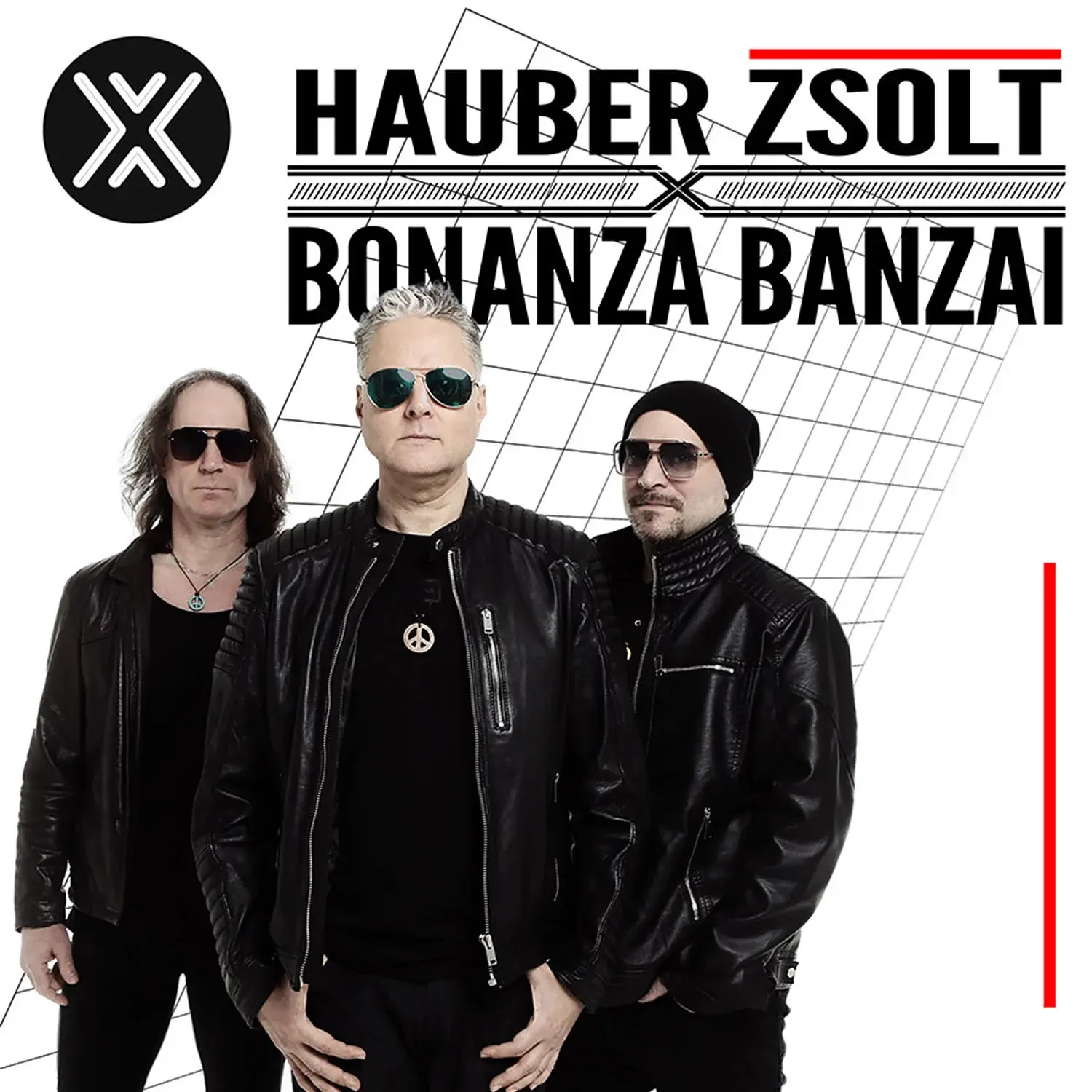 Read more about the article HAUBER X Bonanza Banzai